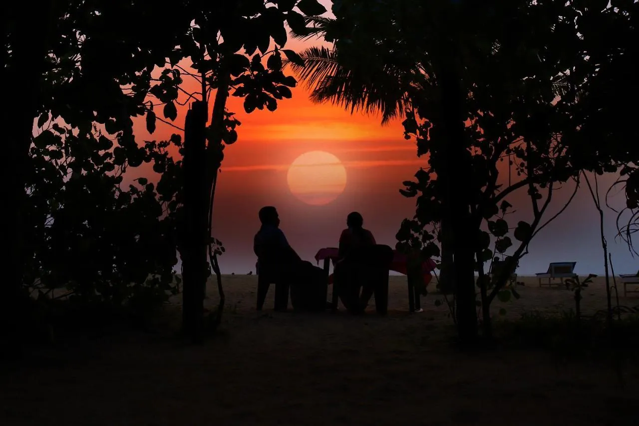 Marari Eclipse Homestays Alappuzha